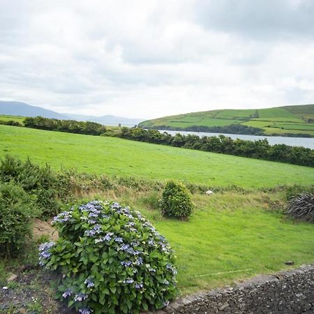Half Door House Hotel Dingle Kültér fotó
