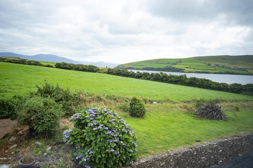 Half Door House Hotel Dingle Kültér fotó