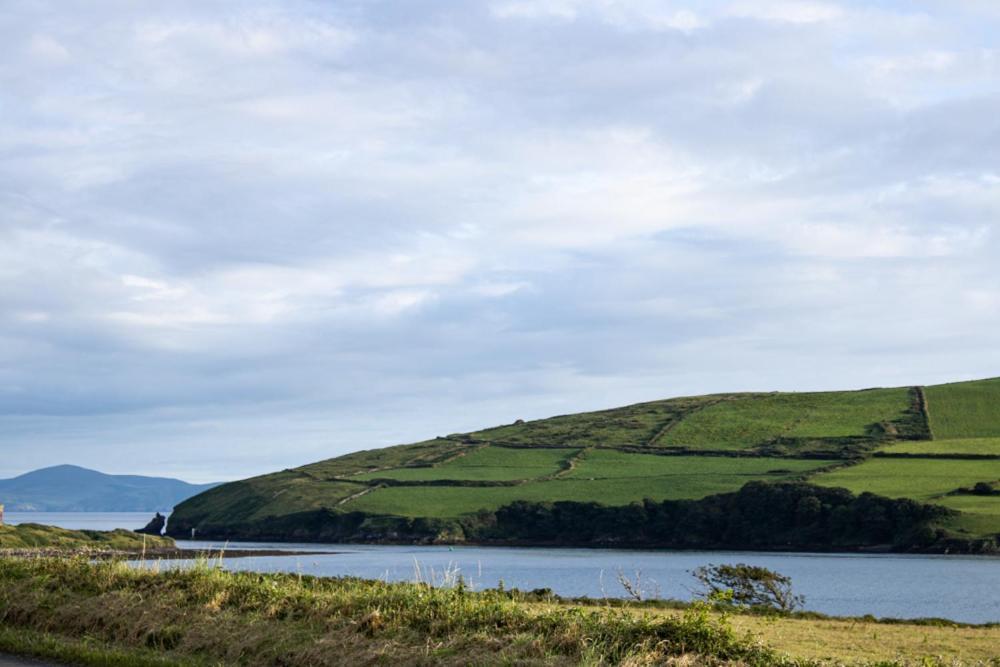 Half Door House Hotel Dingle Kültér fotó